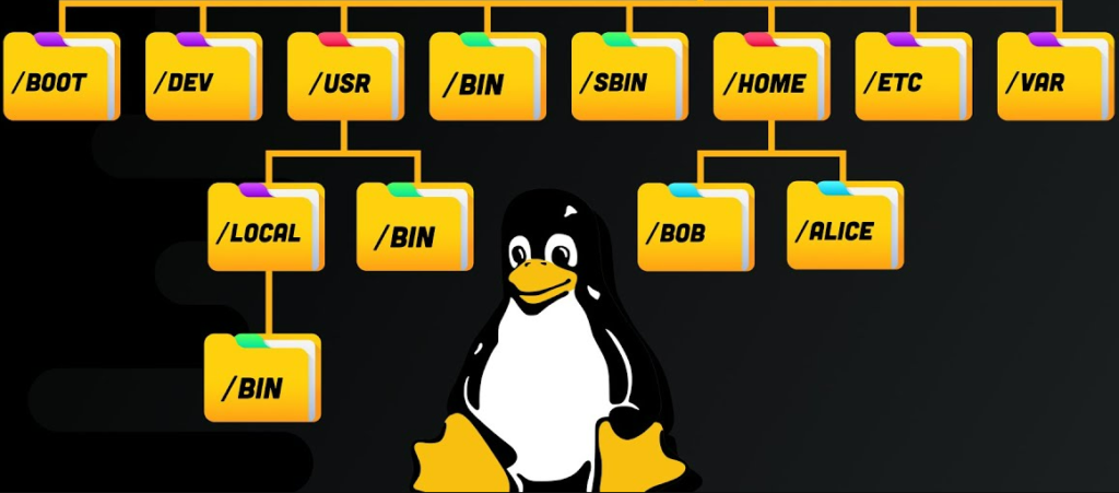 Linux Dosya ve Dizin Hiyerarşisi: Verileri Organize Etme Sanatı